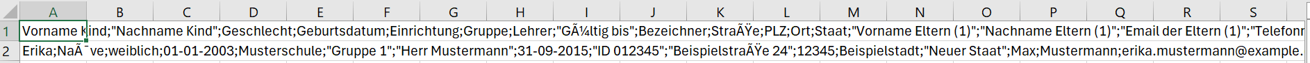 Ein Screenshot einer Tabellenkalkulationssoftware zeigt eine CSV-Datei, bei der alle Daten in der ersten Spalte zusammengequetscht und nicht korrekt getrennt sind.