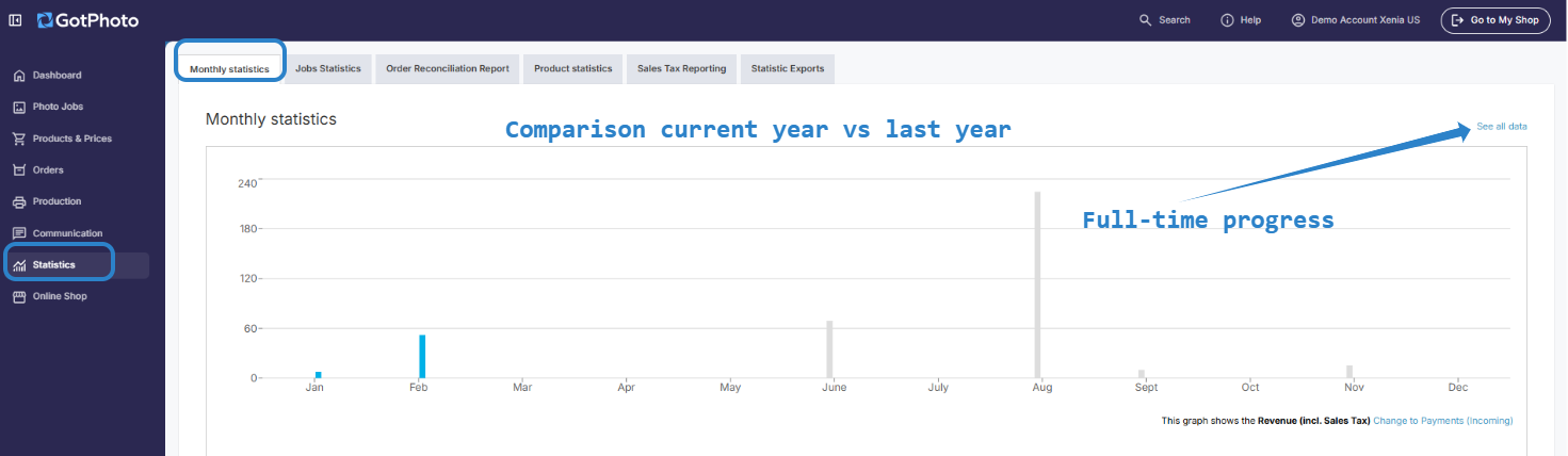 Monthly Statistics page showing payments vs revenue toggle and chart