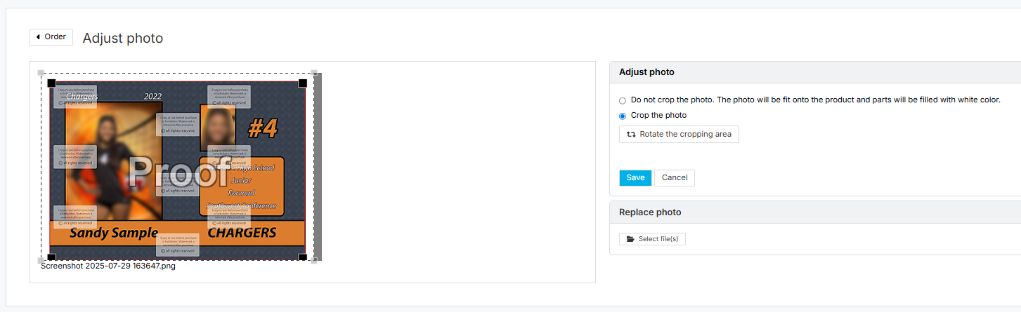 Upload replacement file dialog
