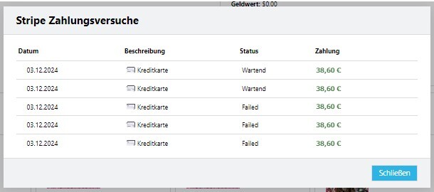 Screenshot: Detailansicht eines Zahlungsversuchs