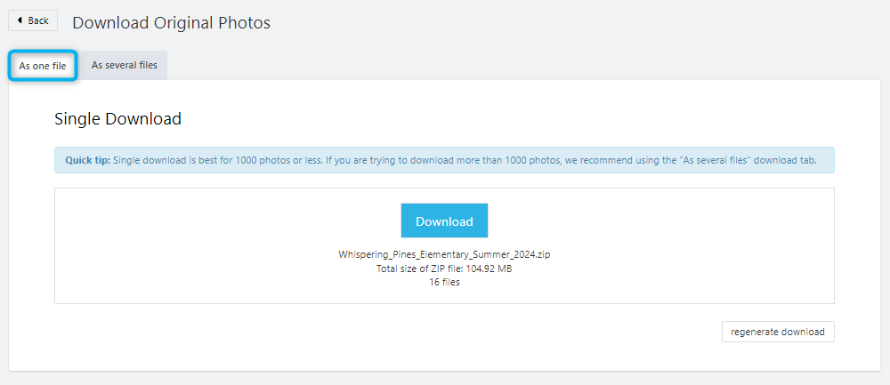 As one file tab with the Download button for fewer than 1000 images.