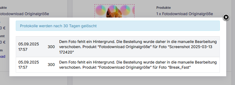 Pop-up mit Bestellprotokoll und Fehlerdetails