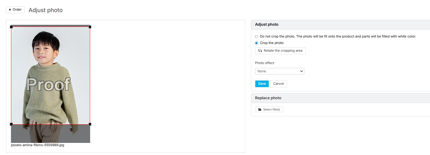 Adjust photo interface