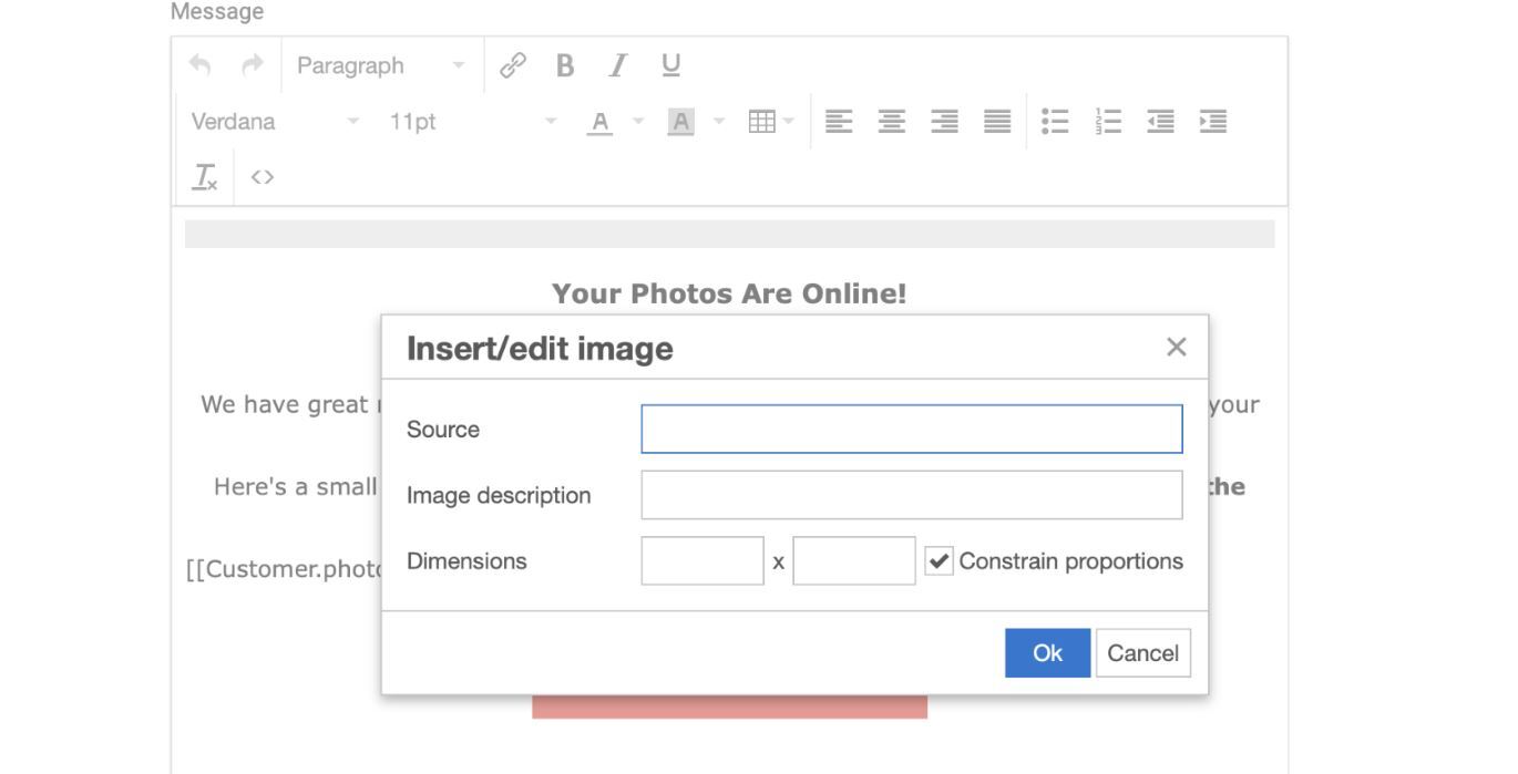 Insert image dialog with URL input and alt text field
