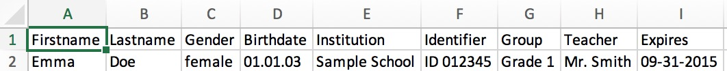 Screenshot of correctly formatted CSV data preview