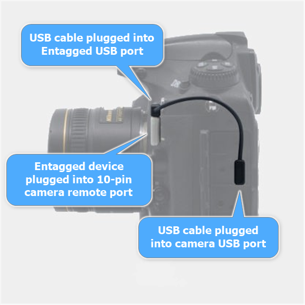 An image showing the Entagged N1 device connected to the front of a Nikon Z9 camera, with the cable routed to the side USB port.
