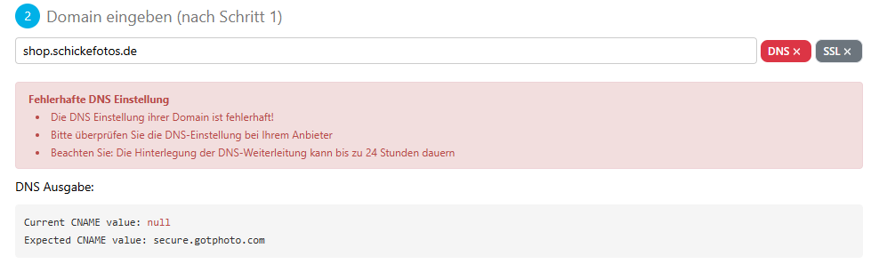 Fehleranzeige bei DNS-Ausgabe