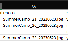 Spreadsheet view highlighting the filename column